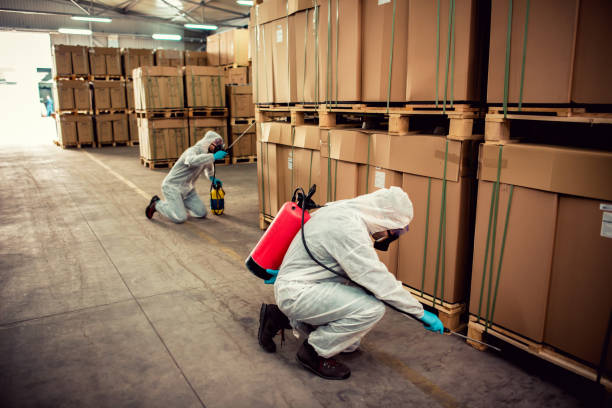 Best Local Pest Control Services  in Beach Haven West, NJ