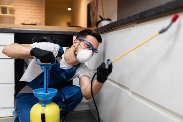 Best Residential Pest Control  in Beach Haven West, NJ