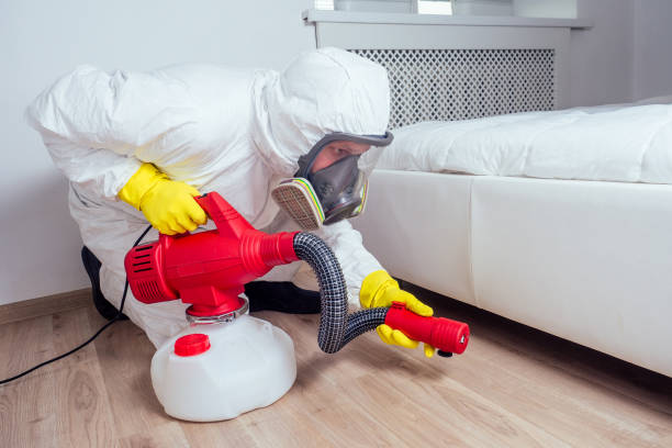 Best Affordable Pest Control Services  in Beach Haven West, NJ