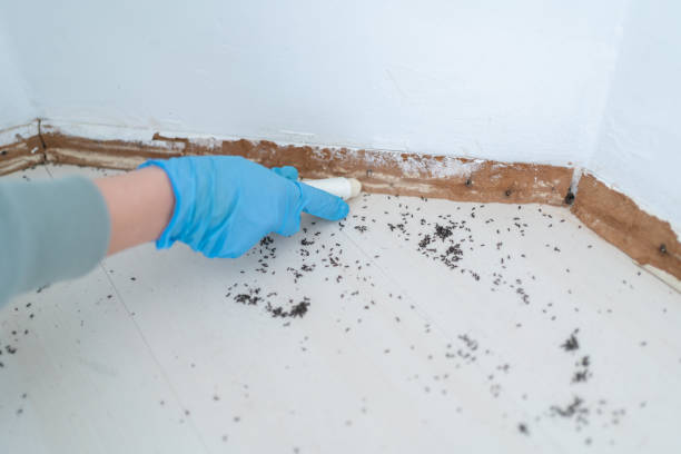 Wildlife Control Services in Beach Haven West, NJ